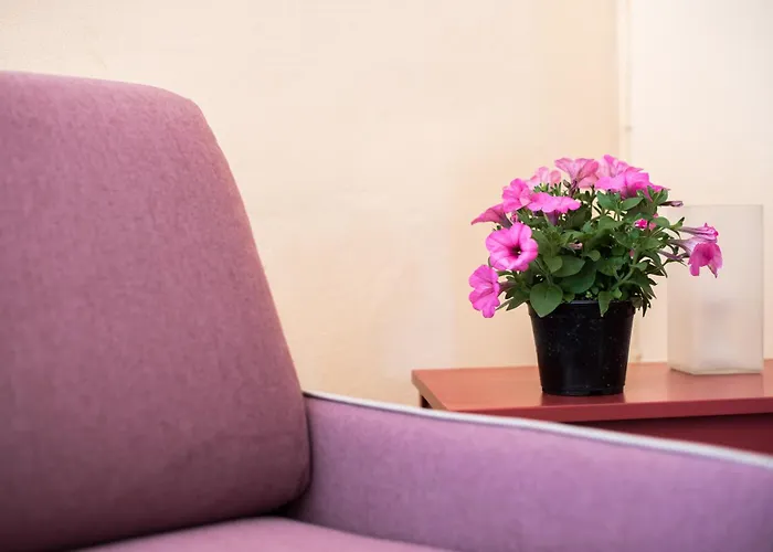 Podere Del Pereto Bio- 202 Lantgård