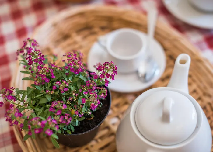 Podere Del Pereto Bio- 202 Lantgård Rapolano Terme