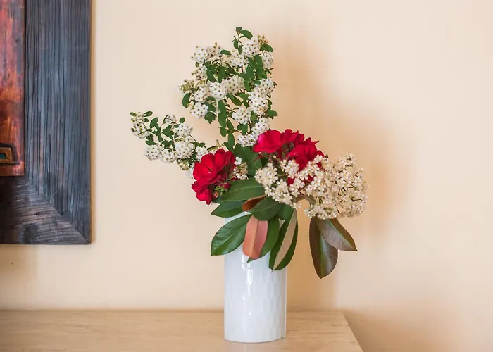 Lantgård Podere Del Pereto Bio- 202 Rapolano Terme